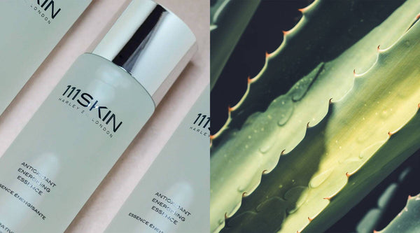 ALOE VERA: A BOTANICAL SKIN SAVIOUR | 111SKIN UK TEST